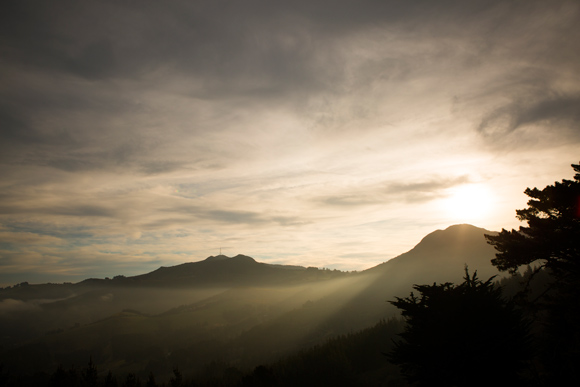 Mt Cargill in the late arvo sunshine