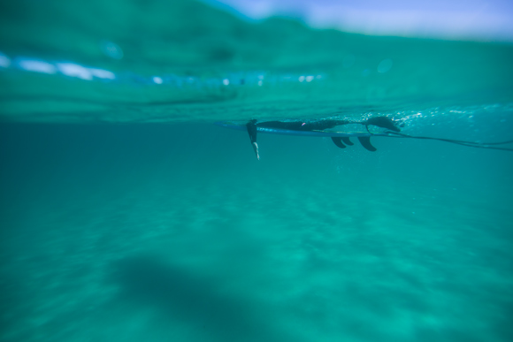 Paddler