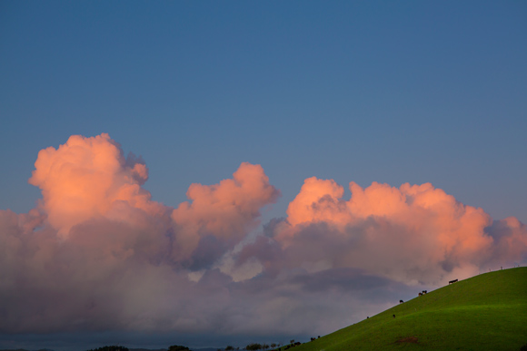 Dusk over farmland at Raglan