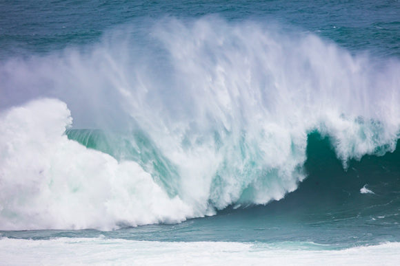 XXL wildness