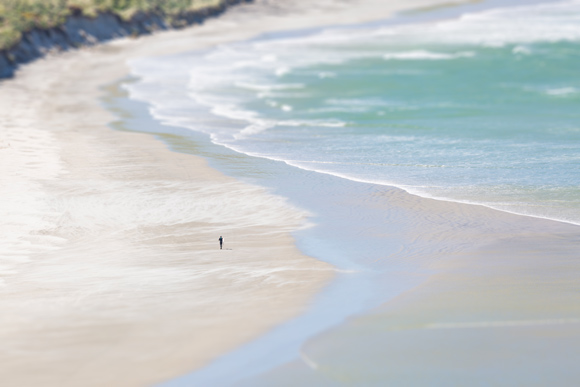 Lone surfer on a mission, Otago Peninsula 