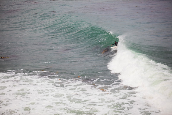 Kelp slalom