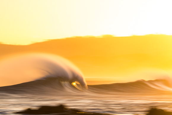 Golden plume