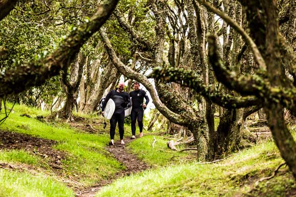 Nigel and Steve in the woods