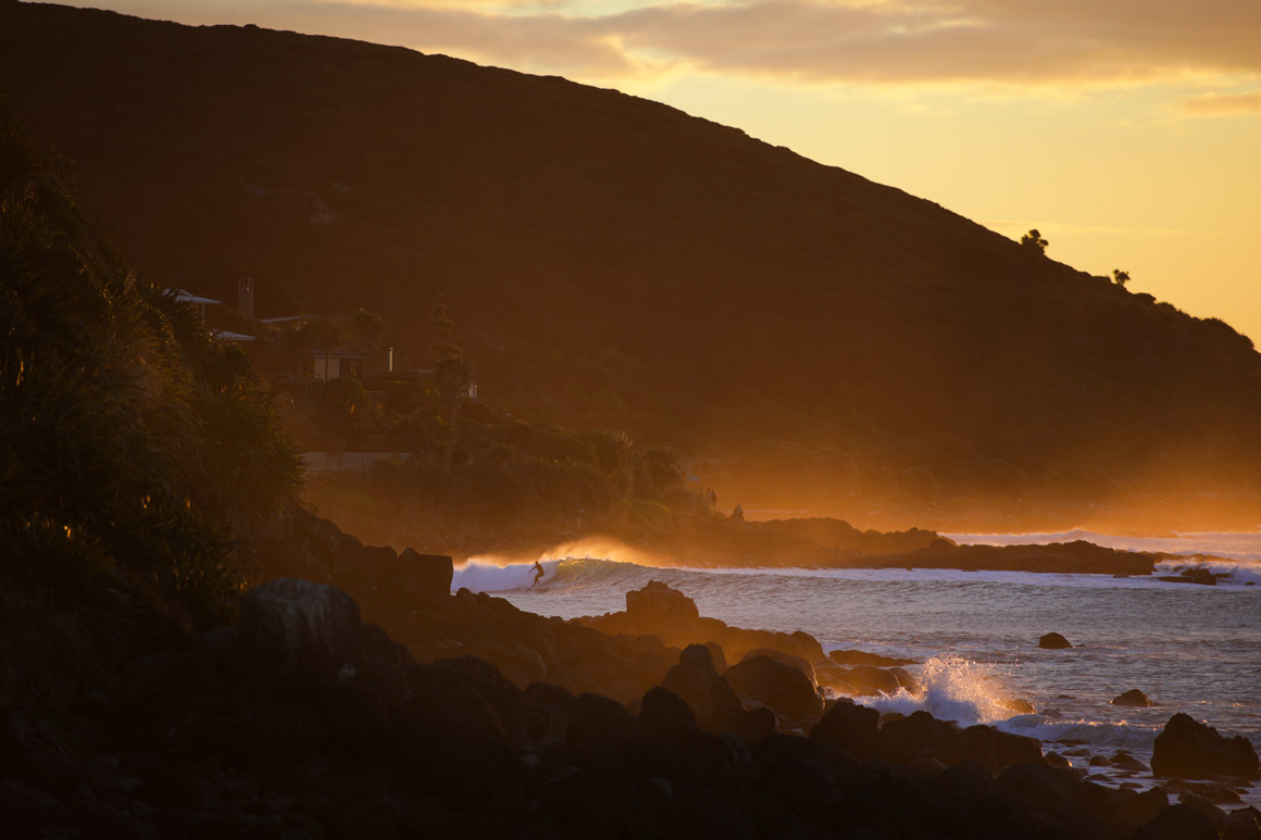 Golden runner in Whale Bay