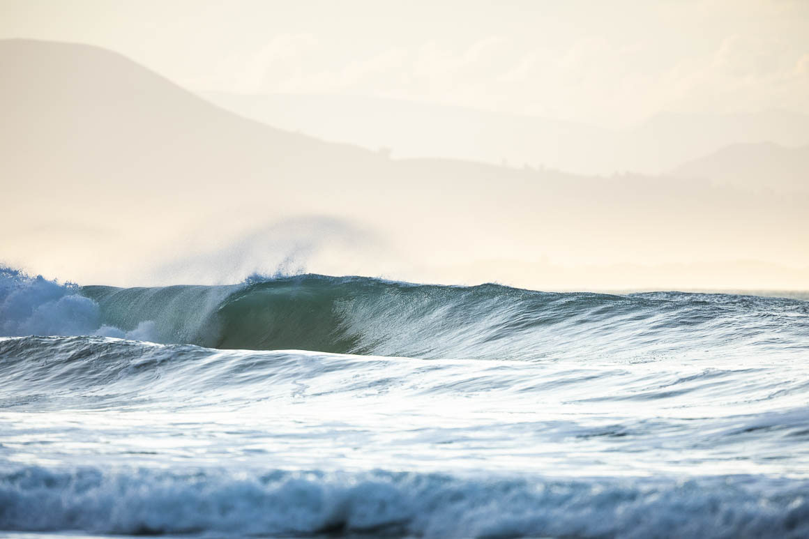 Lots of hollow ones winding through