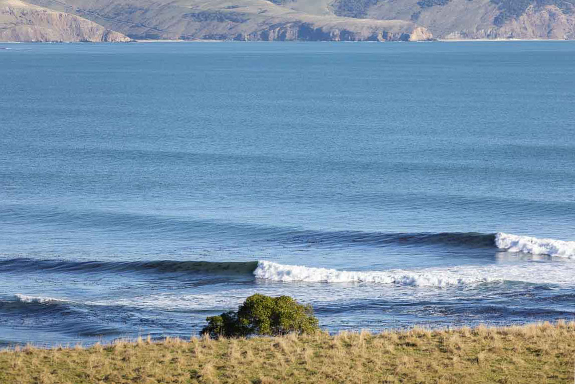 Glassy, weedy and empty