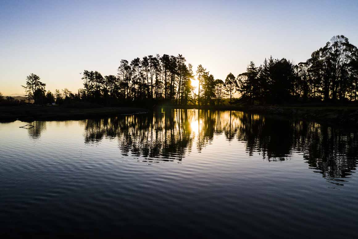 Rabbit Island reflections