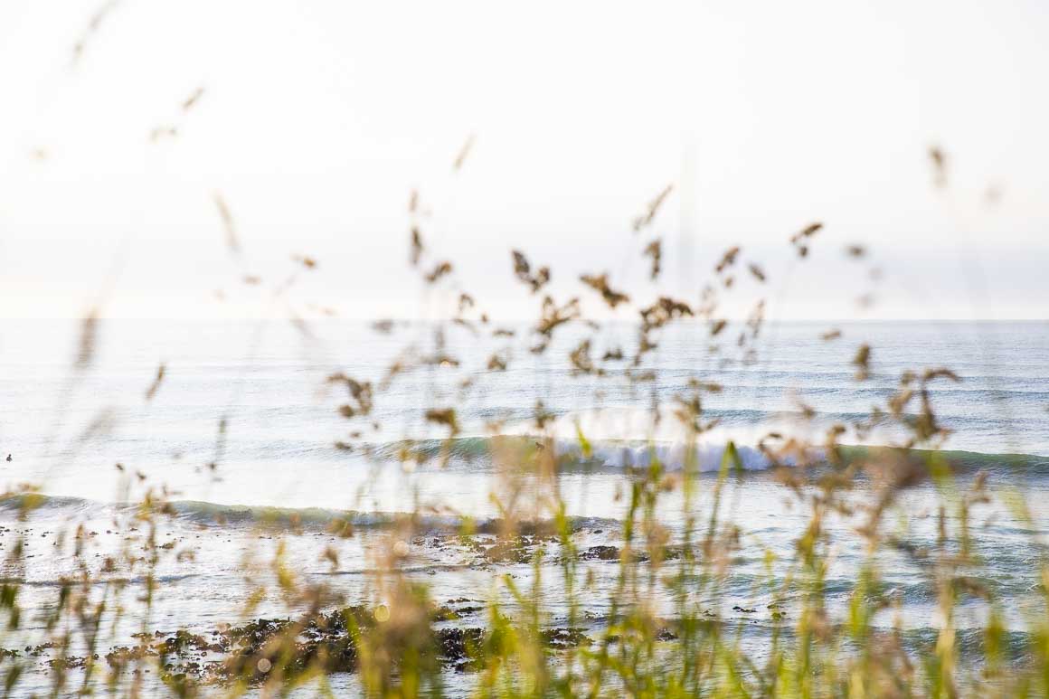 Dane Robertson through the grasses