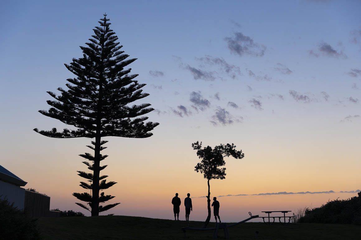 The Mahia reunion