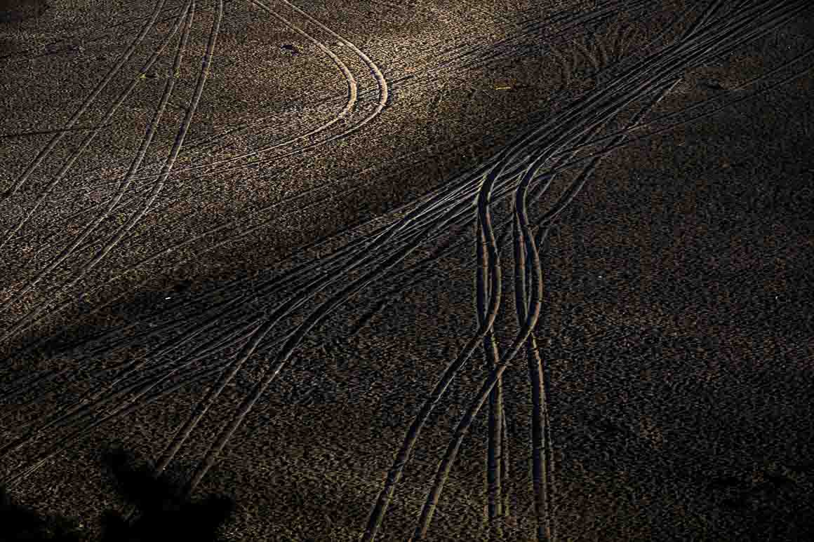 Tracks in the sand