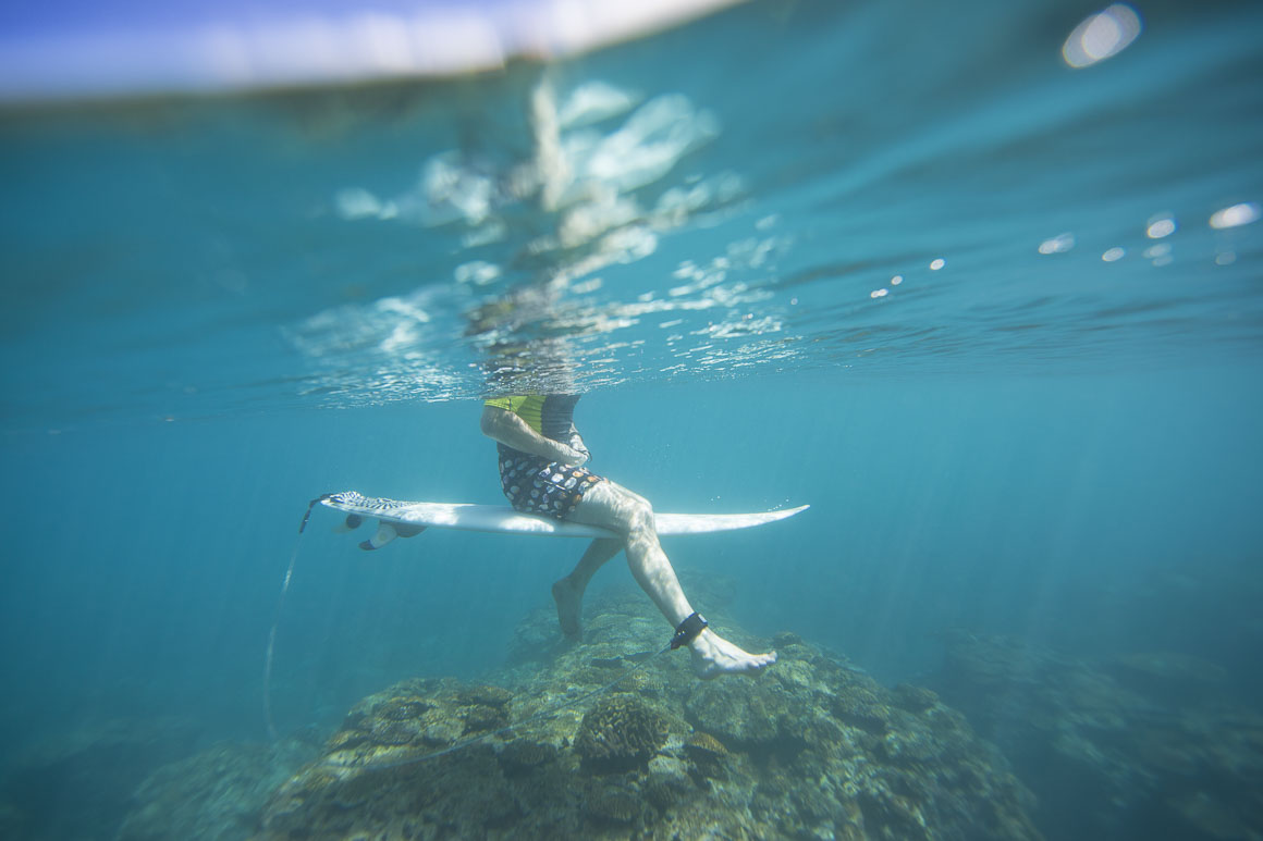 Bones brushing the coral head