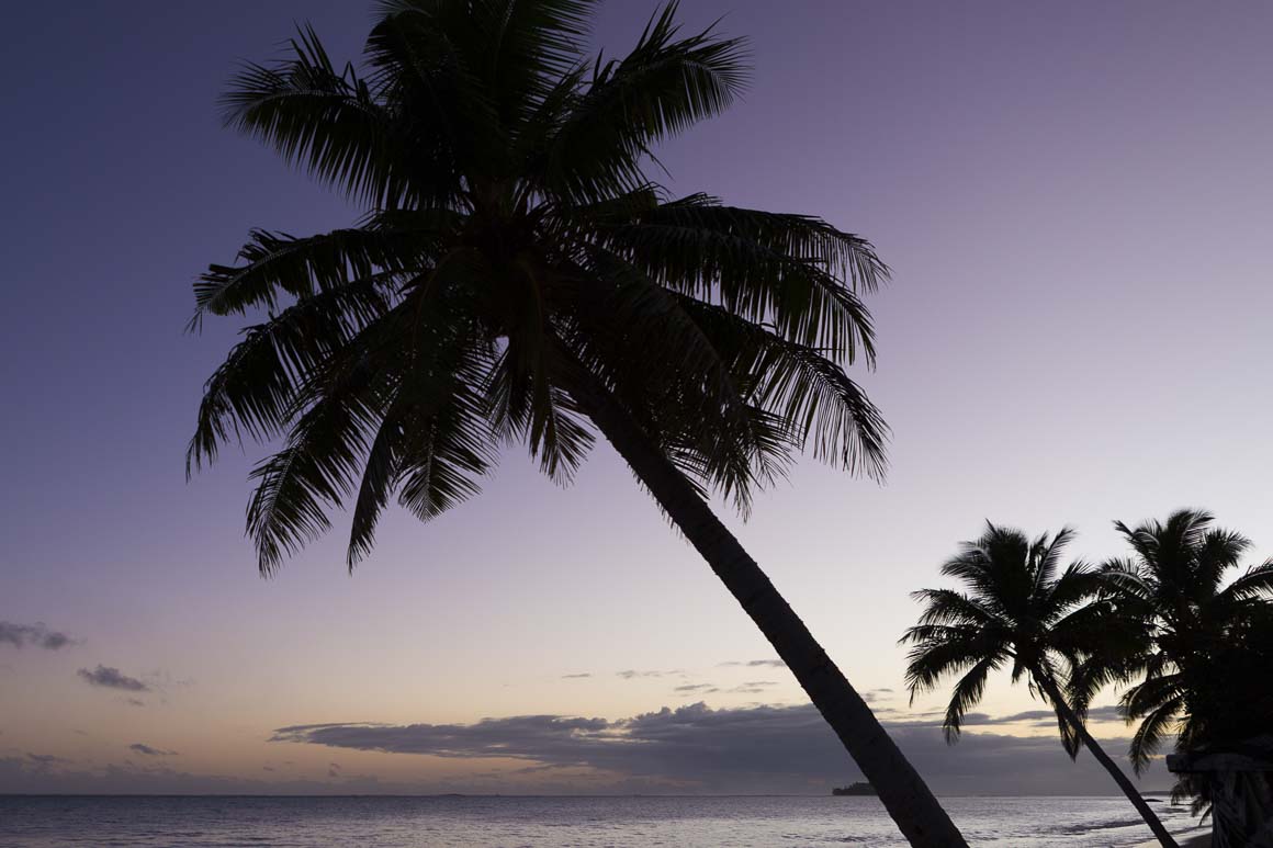 Tropical