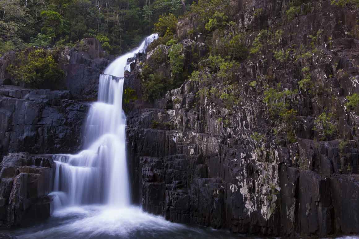 Cascade in the jungle