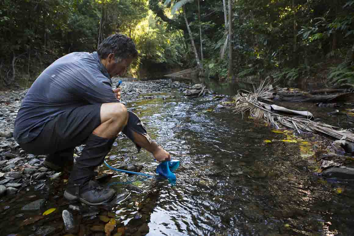 Hydrating jungle-style