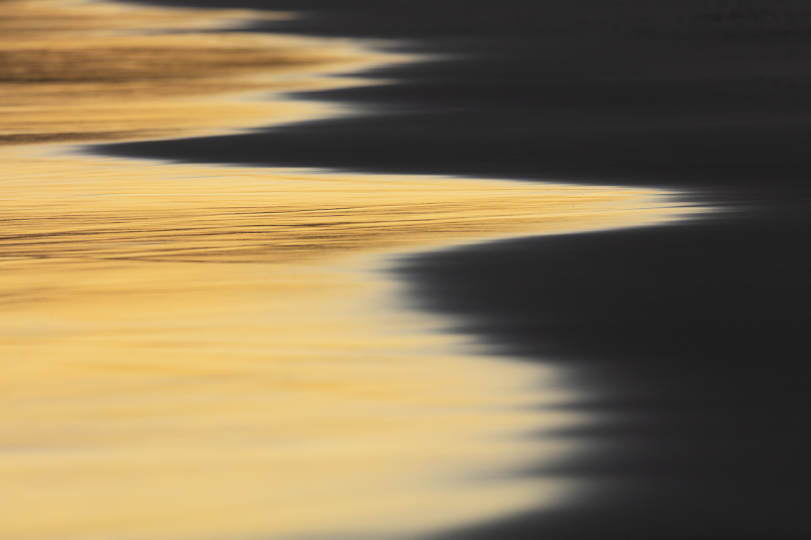 Gold plate