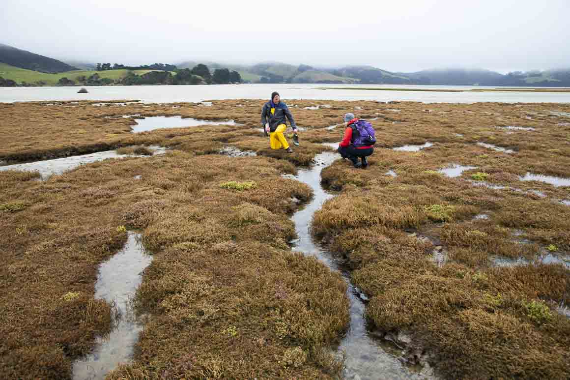 Jim and Jordana exploring Hooper's Inlet