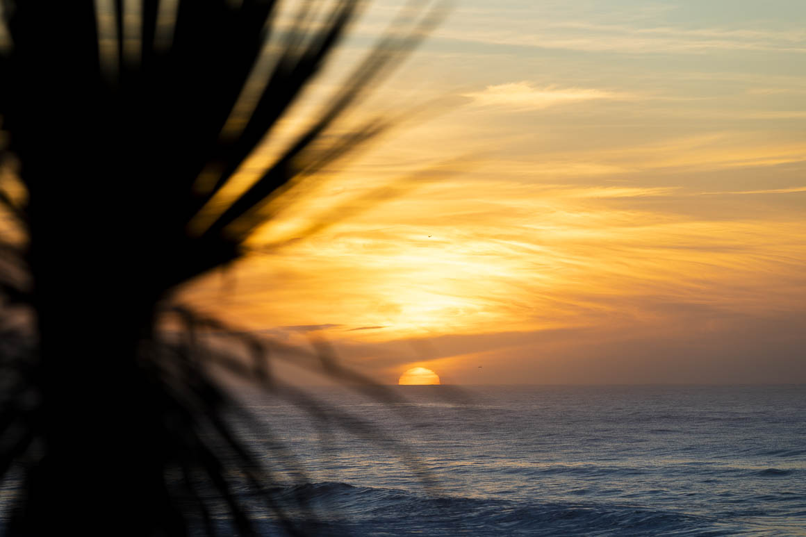 Golden sunrise