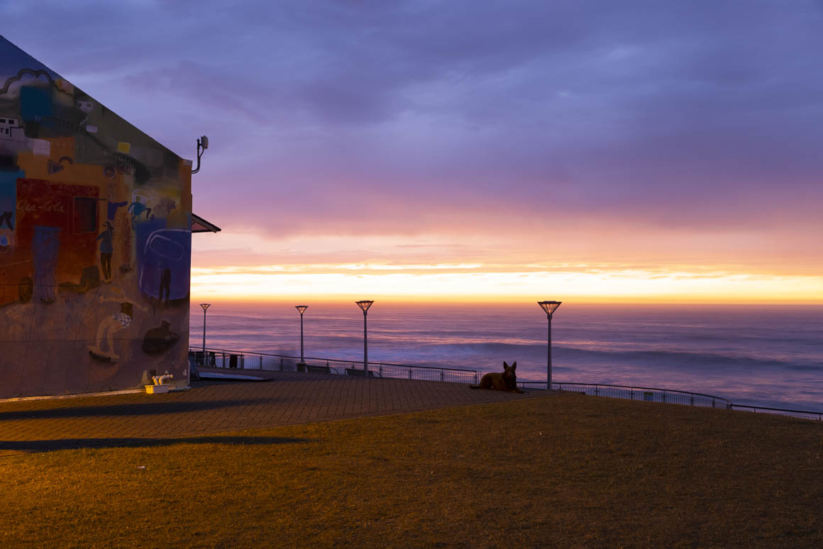 Dawn surf check