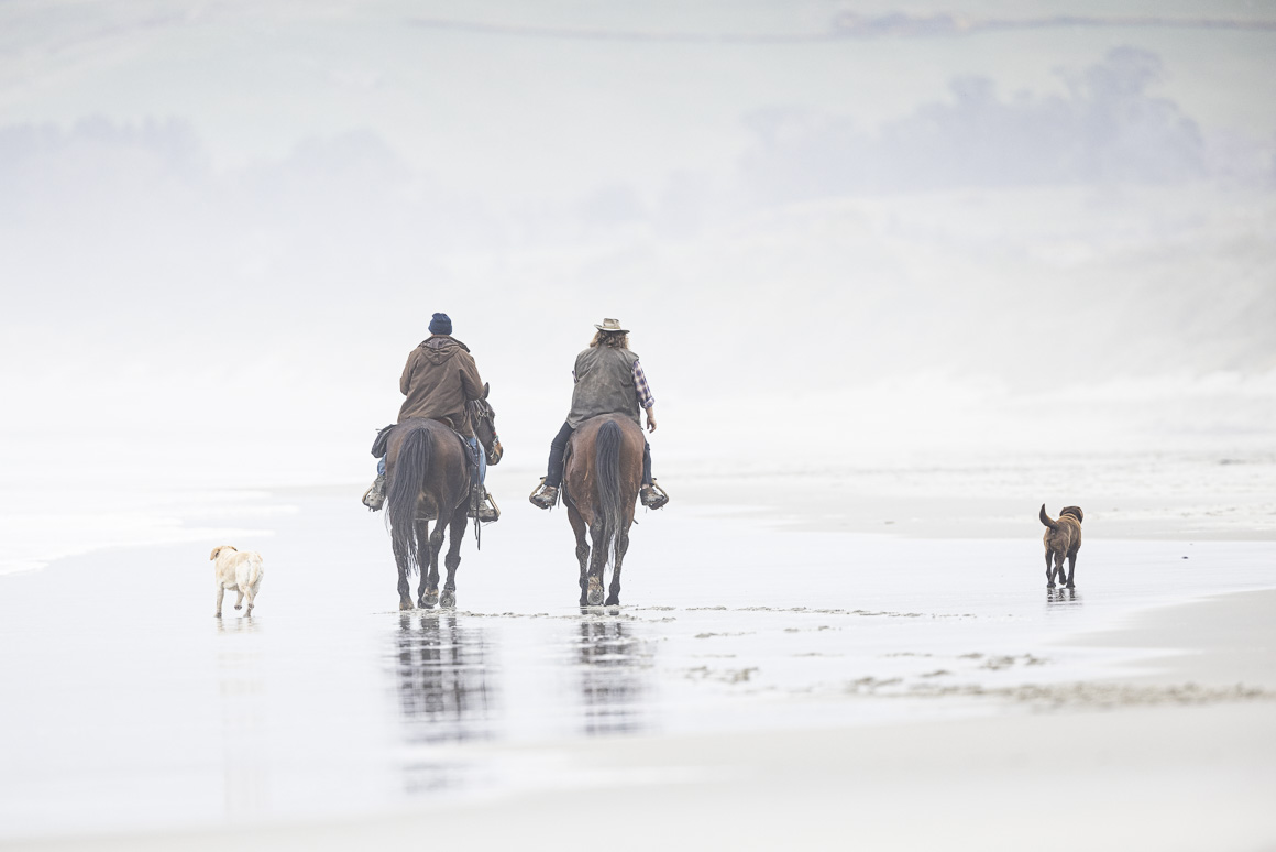Beach rides ... damn, I love New Zealand