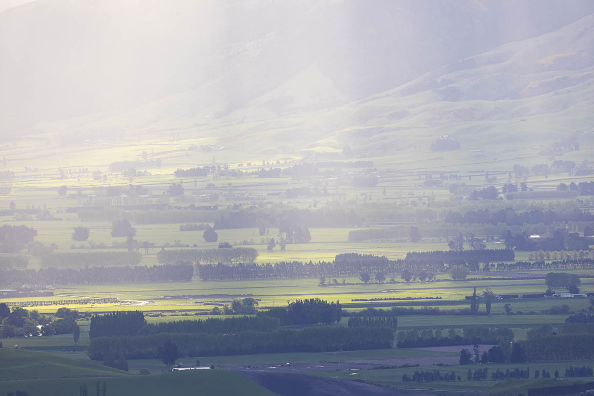 Taieri farmland bathed in sunshine