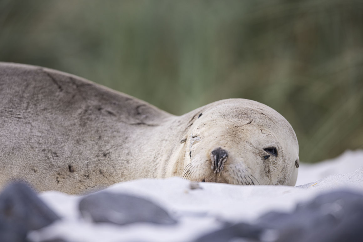 Phyllis, nearly 3 and so chilled