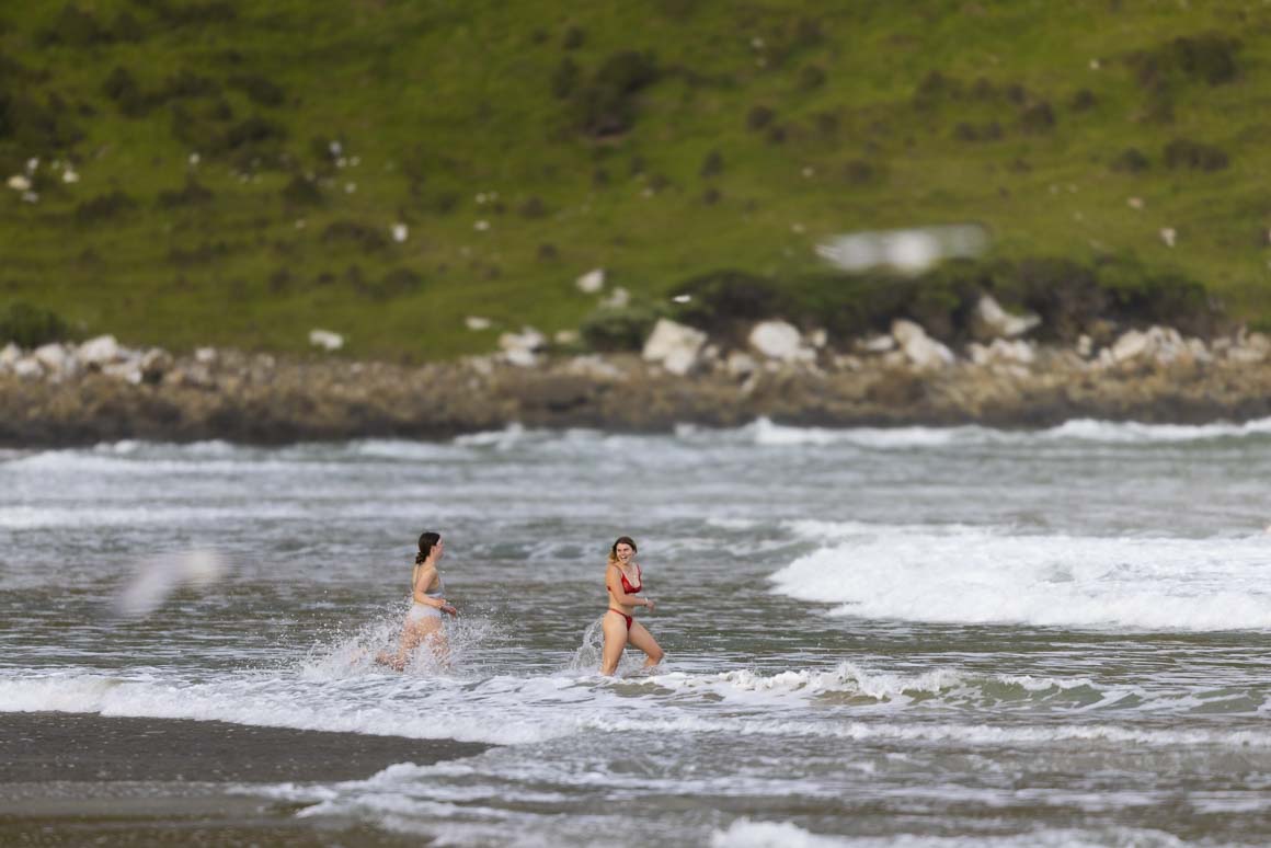 Summer in the Catlins