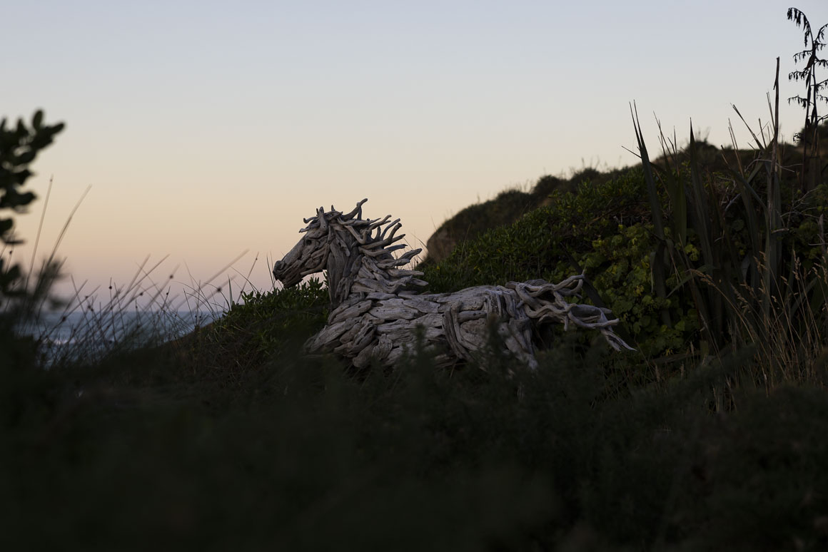 Horses at dawn