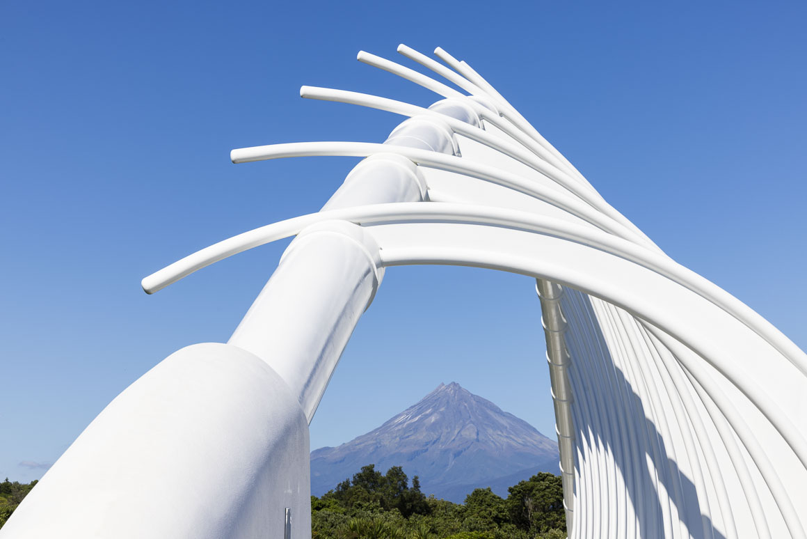 Te Rewarewa