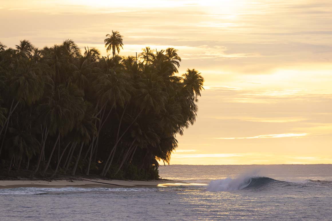 No takers for this little dusk gem