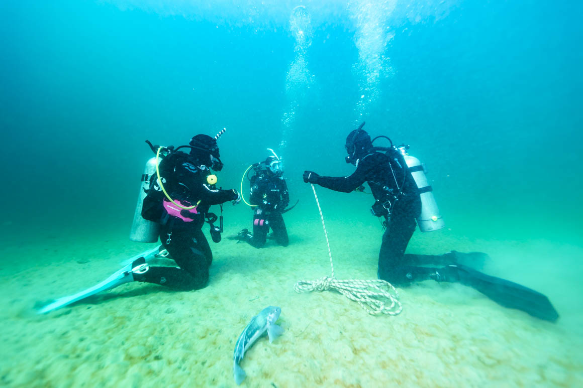 Virginia Watson training divers off Ulva Island, Rakiura