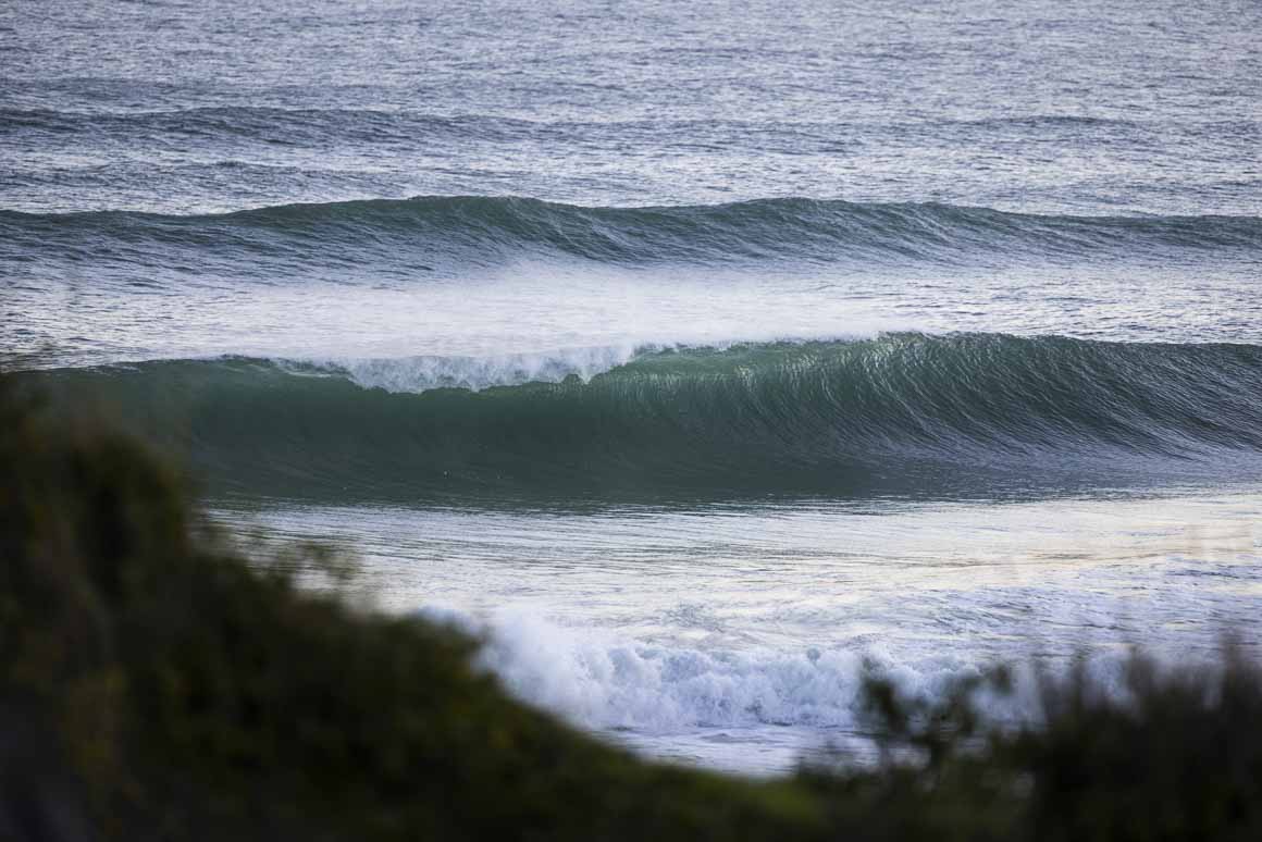 A howler during our four-swell combo