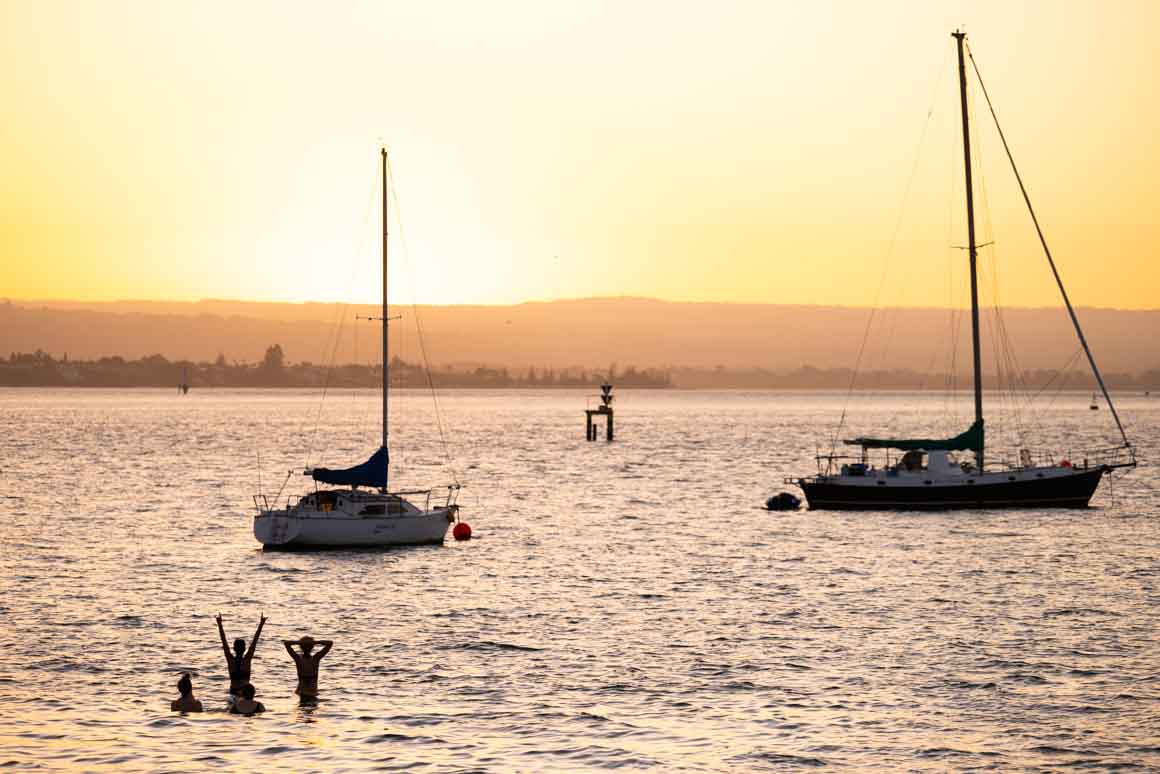 Dusk swimmers, Pilot Bay