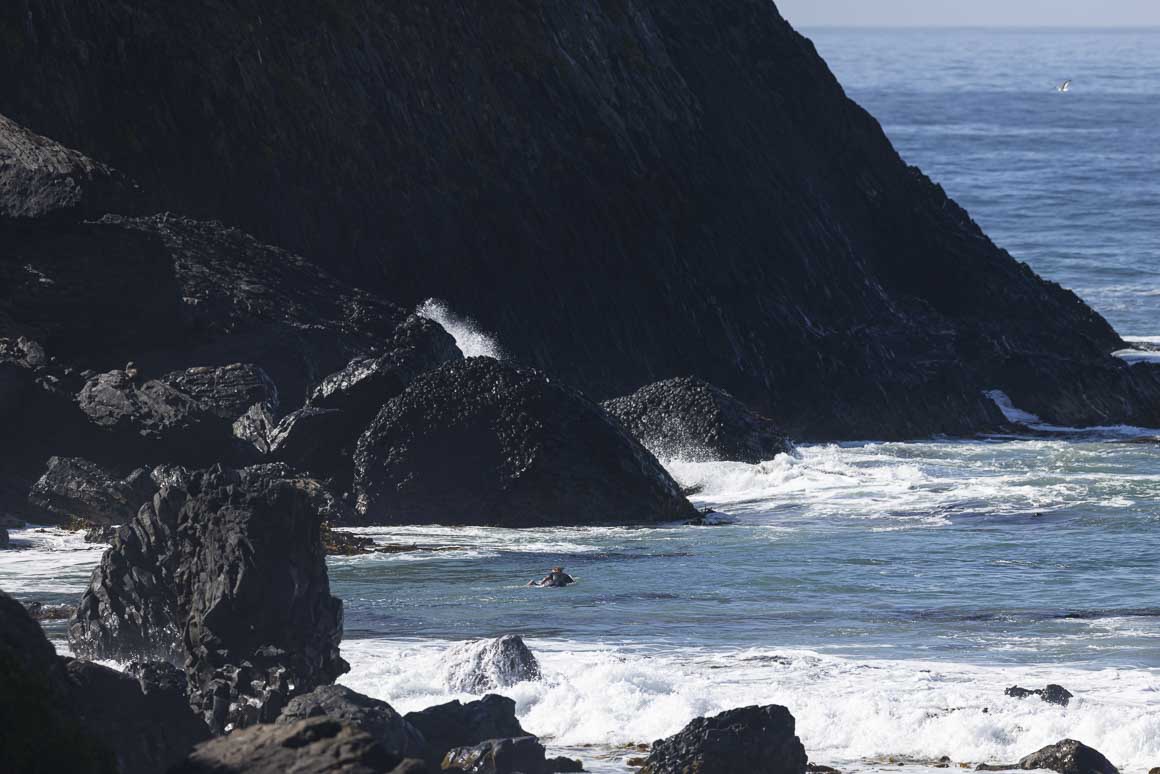 Never knew about this Blackhead rock-off