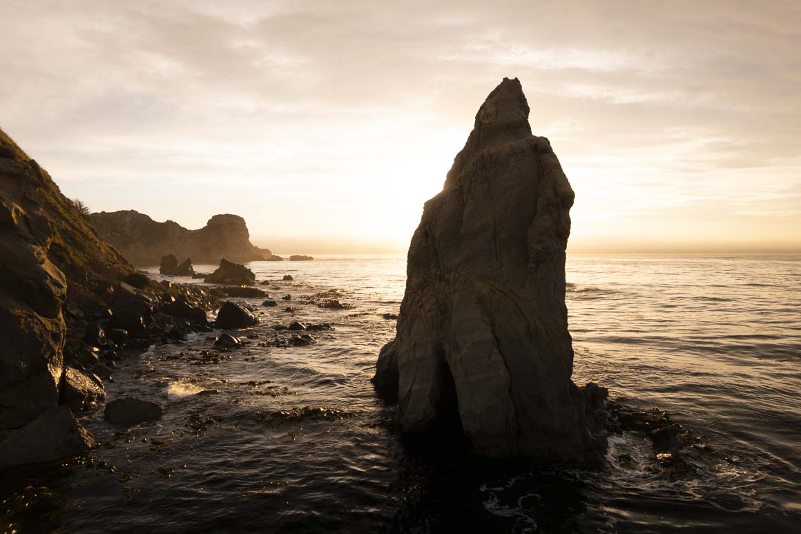 Sea pillar, Karitane