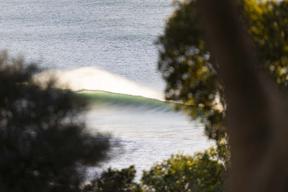 Through the trees