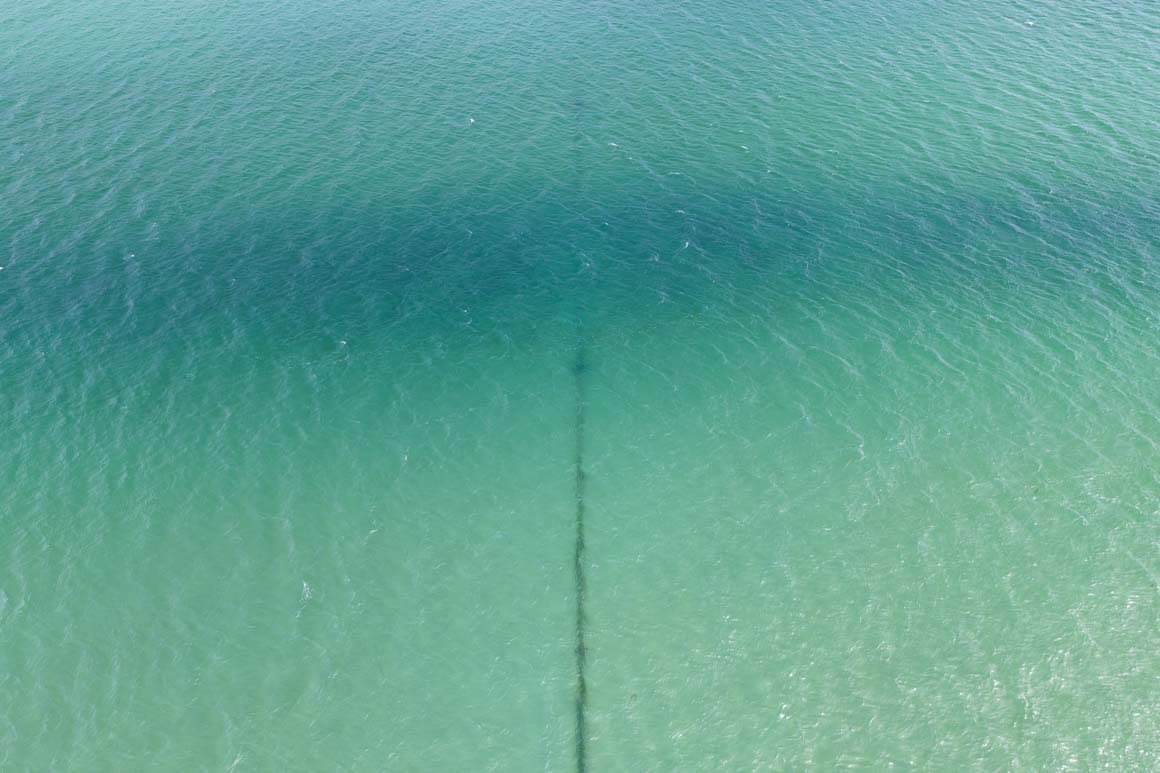 Rauone Beach, Otago Harbour