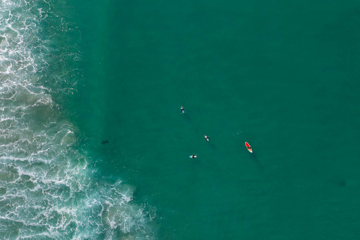 Shark bait