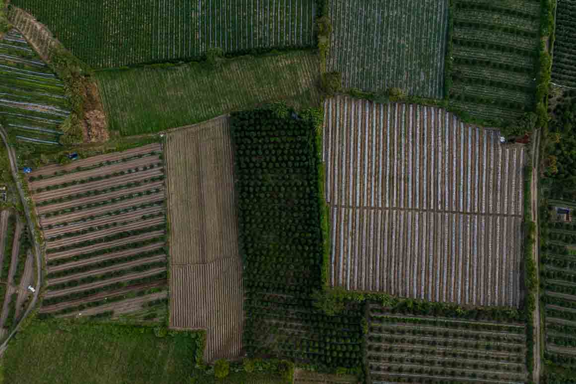 Fertile farmland at the foot of Mt Sinabung